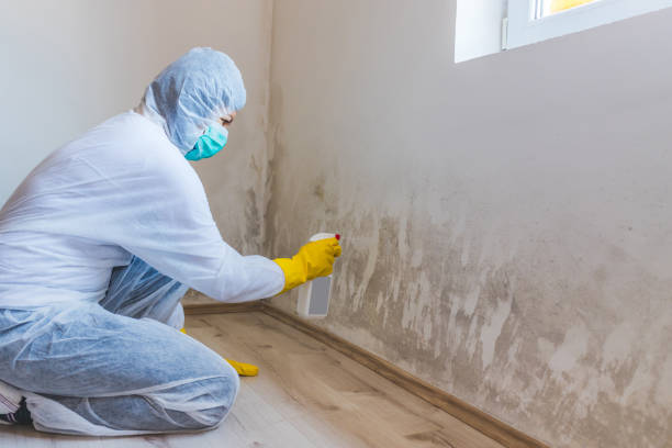 Licensed Commercial Mold Remediation service in North Fort Myers, FL - WQB Mold Removal