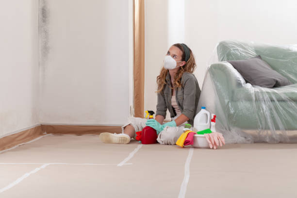 Reliable Commercial Mold Remediation contractor in North Fort Myers, FL by WQB Mold Removal